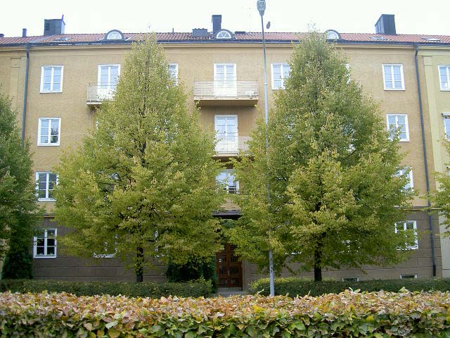 Vasavägen 17, 582 20, Linköping