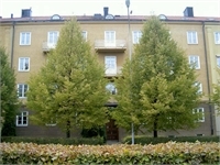 Image missing alt text