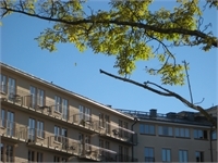 Image missing alt text